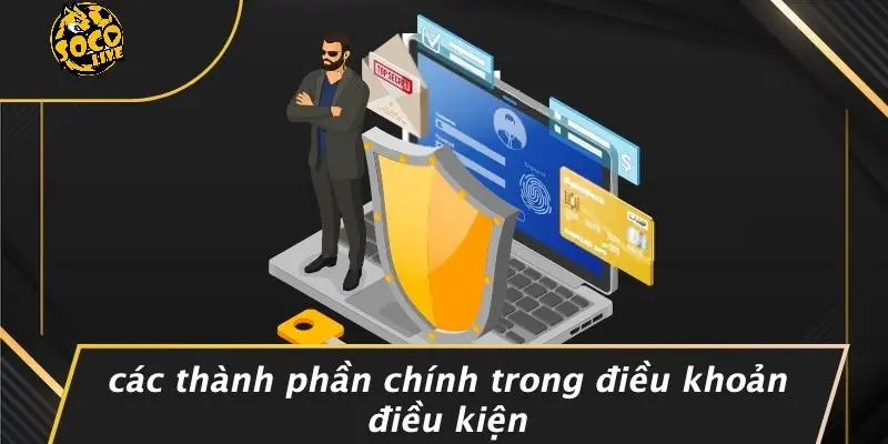 Điều Khoản Điều Kiện