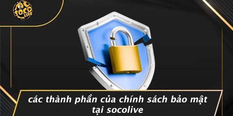 Chính Sách Bảo Mật