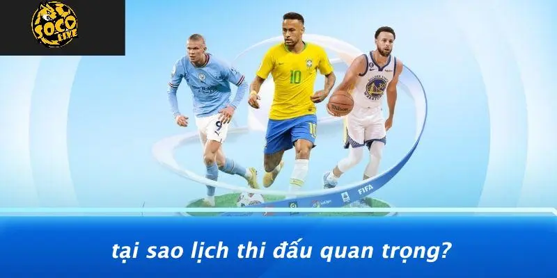 Lịch thi đấu