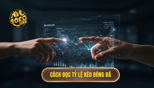 Cách đọc tỷ lệ kèo bóng đá