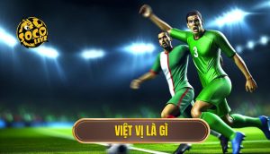 việt vị là gì