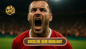 thumb - socolive xem highlight