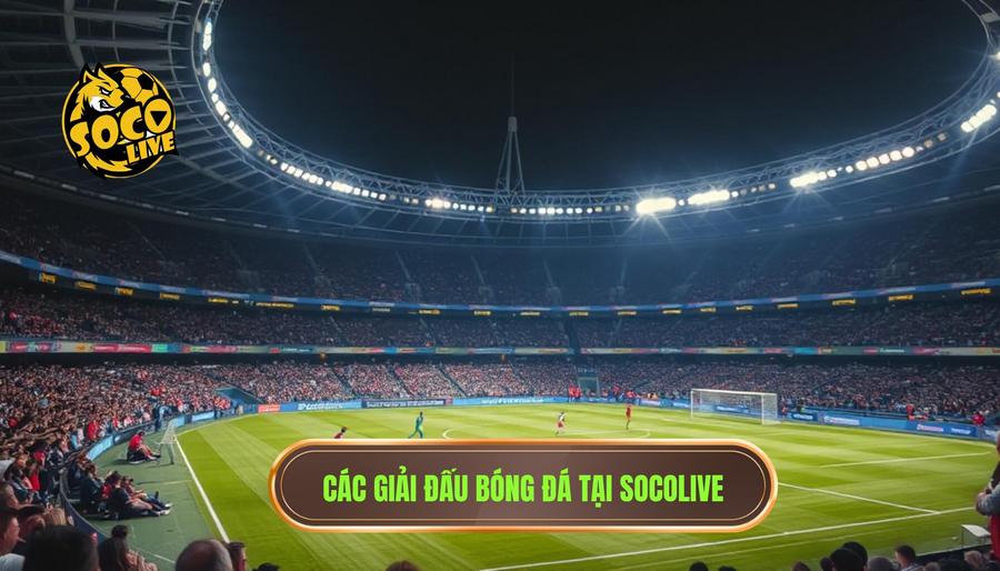 Các giải đấu được tường thuật tại socolive trực tiếp bóng đá Việt Nam